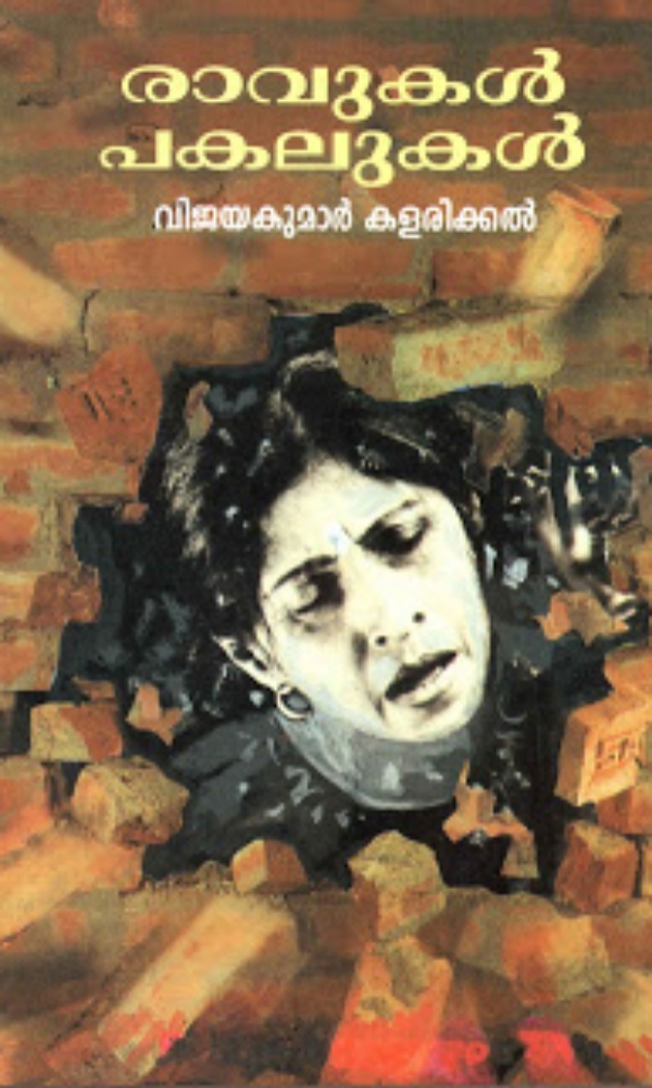 രാവുകൾ പലുകൾ (നോവൽ)